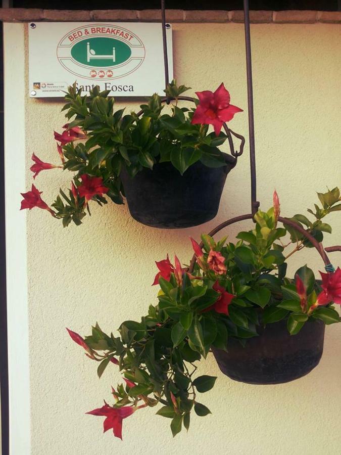 B&B Santa Fosca Pederobba Buitenkant foto