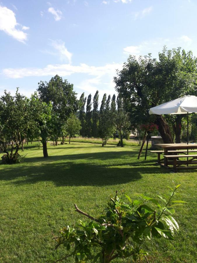 B&B Santa Fosca Pederobba Buitenkant foto